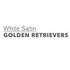 White Satin Golden Retrievers